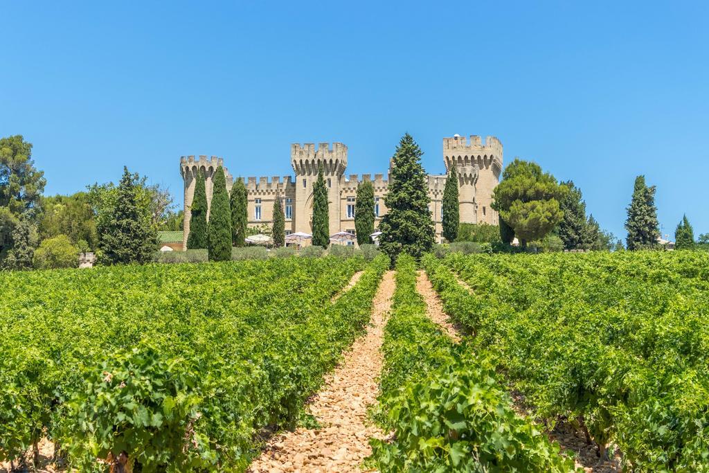 Hostellerie Du Chateau Des Fines Roches Châteauneuf-du-Pape Kültér fotó